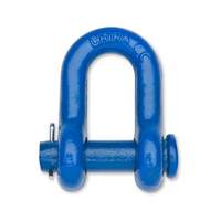 Campbell&reg; Super Blue Utility Clevis Advanced Consulting and Training Ltd.
