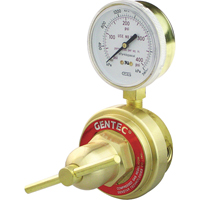 D&eacute;tendeur de conduit &agrave; usage moyen &agrave; intensif, Propane, Entr&eacute;e Orifice 1/4" NPT(F) Advanced Consulting and Training Ltd.