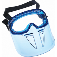 KleenGuard V90 Shield Safety Goggles, Clear Lens, Anti-Fog, Indirect Vent Advanced Consulting and Training Ltd.