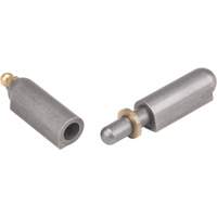 Charni&egrave;re &agrave; souder, 0,512" dia. x 3,15" lo, Acier doux a/goupille fixe en acier Advanced Consulting and Training Ltd.