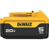 Max XR&reg; Premium Battery Pack, Lithium-Ion, 20 V, 5 A Advanced Consulting and Training Ltd.