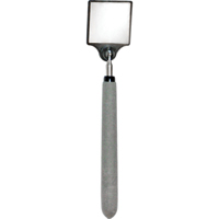 Acrylic Inspection Mirror, Square, 2" L x 2" W, Telescopic Advanced Consulting and Training Ltd.
