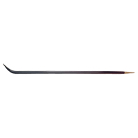 Railroad Track Pry Bar, 1-1/8" W, 42" L Advanced Consulting and Training Ltd.