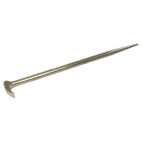 Rolling Head Pry Bar, 2" W x 15-1/4" L Advanced Consulting and Training Ltd.