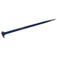 Rolling Head Pry Bar, 11/16" W x 20" L Advanced Consulting and Training Ltd.