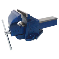 Ductile Iron Mechanics Bench Vise, 8" Jaw Width, 4" Throat Depth Advanced Consulting and Training Ltd.