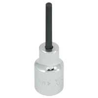 Replacement Bit, 5 mm x 1-1/5" L, 3/8" Drive Advanced Consulting and Training Ltd.