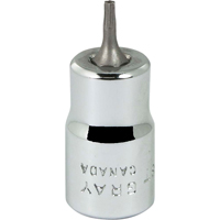 Bit Socket, Torx&reg;, T8 x 2-1/8" L, 3/8" Drive Advanced Consulting and Training Ltd.