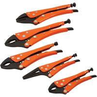 Straight Curved & Long Nose Locking Pliers Set, 5 Pieces Advanced Consulting and Training Ltd.