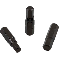 Insert Bit, Hex, 0.05, 1/4" Drive Advanced Consulting and Training Ltd.