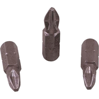 Insert Bit Advanced Consulting and Training Ltd.