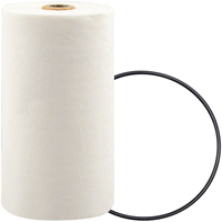 P7247 Filtre pour liquide de refroidissement &agrave; visser avec additif BTE Advanced Consulting and Training Ltd.