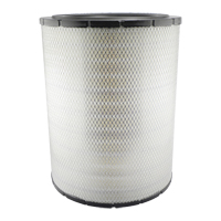 RS3700 &eacute;l&eacute;ment filtrant externe pour l'air avec joint radial Advanced Consulting and Training Ltd.