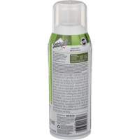 Protecteur pour tissus d'ext&eacute;rieur Scotchguard, 297 g, Canette a&eacute;rosol, Transparent Advanced Consulting and Training Ltd.