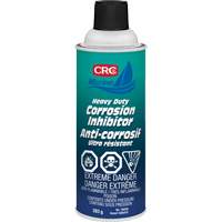 Inhibiteur de corrosion gros travaux, Canette a&eacute;rosol Advanced Consulting and Training Ltd.