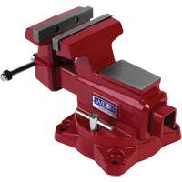 &eacute;tau d'&eacute;tabli utilitaire HD, Largeur des m&acirc;choires 6-1/2", Profondeur de la gorge 4-1/4" Advanced Consulting and Training Ltd.