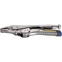 Fast Release Locking Pliers Set, 2 Pieces Advanced Consulting and Training Ltd.