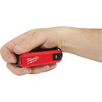 Alimentation et chargeur USB Redlithium, 4 V, Lithium-ion Advanced Consulting and Training Ltd.