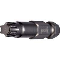 Embout pour outil &eacute;lectrique, Torx, Embout T-20, Prise 1/4", Longueur 2" Advanced Consulting and Training Ltd.