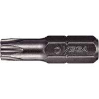 Embout, Torx, 40, Prise 1/4" Advanced Consulting and Training Ltd.