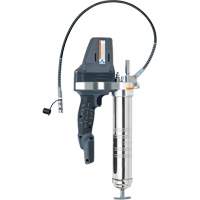 Pistolet graisseur (outil seulement), Lithium-ion, 20 V Advanced Consulting and Training Ltd.