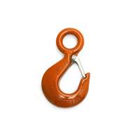 Crochet de palan Advanced Consulting and Training Ltd.