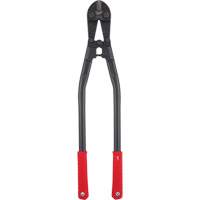Coupe-boulon, 30" l, Coupe droite Advanced Consulting and Training Ltd.