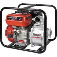 Pompe &agrave; eau &agrave; essence, 196 cc, LCT &agrave; 4 temps, 7,0 CV Advanced Consulting and Training Ltd.