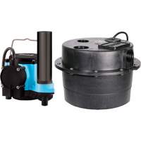 Drainosaur&reg; Sump Pump, 29 GPM, 115 V, 9 A, 1/3 HP Advanced Consulting and Training Ltd.