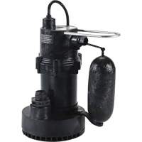 5.5 Series Sump Pump, 35 GPM, 115 V, 3.5 A, 1/4 HP Advanced Consulting and Training Ltd.