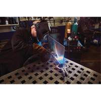 Vise-Grip&reg; Fast Release 11R Locking Pliers, 11" Length, C-Clamp Advanced Consulting and Training Ltd.