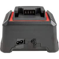 Chargeur de batterie 2,5 Ah et 5,0 Ah, 120 V, Lithium-ion Advanced Consulting and Training Ltd.