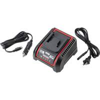 Chargeur de batterie 2,5 Ah et 5,0 Ah, 120 V, Lithium-ion Advanced Consulting and Training Ltd.