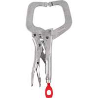 Serre-joint verrouillable Torque Lock avec m&acirc;choires r&eacute;guli&egrave;res, Capacit&eacute; de 6" (152 mm) Advanced Consulting and Training Ltd.