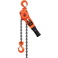 KLP Series Lever Chain Hoist, 5' Lift, 3000 lbs. (1.5 tons) Capacity Advanced Consulting and Training Ltd.