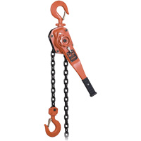 KLP-300L-5 KLP Series Heavy-Duty Lever Chain Hoist with Overload Protection, 5' Lift, 6000 lbs. (3 tons) Capacity Advanced Consulting and Training Ltd.