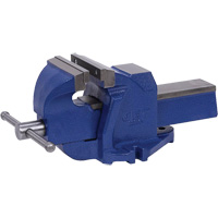 &eacute;tau d&eacute;tabli &agrave; usage intensif – mod&egrave;le anglais, Largeur des m&acirc;choires 6", Profondeur de la gorge 3-1/2" Advanced Consulting and Training Ltd.