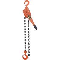 VLP Series Chain Hoists, 5' Lift, 6000 lbs. (3 tons) Capacity, Steel Chain Advanced Consulting and Training Ltd.