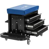 JTBS-3 Roller Seats Advanced Consulting and Training Ltd.