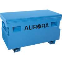 Jobsite Tool Box, 48" x 24" x 27-3/5", Steel, Blue Advanced Consulting and Training Ltd.