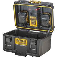 ToughSystem&reg; 2.0 20V Dual Port Charger, 14" x 15" x 9", Black/Yellow Advanced Consulting and Training Ltd.