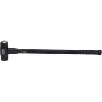 Masse, 10 lb, 36", Prise Fibre de verre Advanced Consulting and Training Ltd.