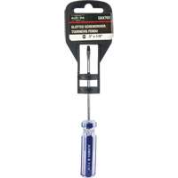 Tournevis &agrave; fente bleu transparent avec bandes , Tige de 1/8", Ronde, Prise en Plastique Advanced Consulting and Training Ltd.