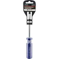 Tournevis &agrave; fente bleu transparent avec bandes, Tige de 1/4", Ronde, Prise en Plastique Advanced Consulting and Training Ltd.