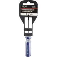 Tournevis Philips bleu transparent avec bandes, #0, Prise Plastique Advanced Consulting and Training Ltd.