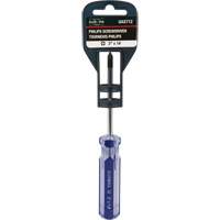 Tournevis Philips bleu transparent avec bandes, #1, Prise Plastique Advanced Consulting and Training Ltd.