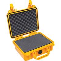 1200 Protector Case with Foam Advanced Consulting and Training Ltd.