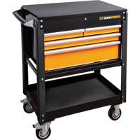 MEGAMOD Master Mechanics Tool Set in Premium Modular Foam Trays with Tool Storage, 1268 Pieces Advanced Consulting and Training Ltd.