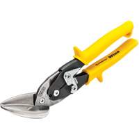 Offset Straight Aviation Snips Advanced Consulting and Training Ltd.