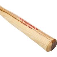 Brass Hammer with Hickory Handle, 1 lbs Head Weight, 11" L Advanced Consulting and Training Ltd.